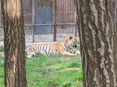 -哈尔滨北方森林动物园