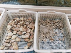 -渔人码头(中南店)