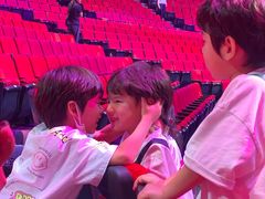 -珠海横琴长隆《卡卡虎奇遇记》