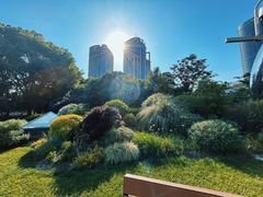 -北外滩滨江绿地