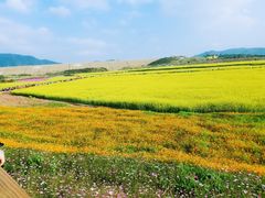 -光明小镇欢乐田园