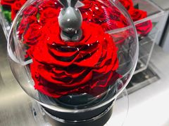 -ROSEONLY诺誓(青岛万象城店)