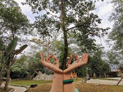 -瑞丽独树成林风景区