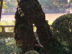 -汇龙潭
