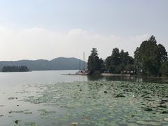 -东湖落雁景区