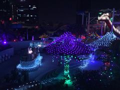 -巨鹏飞梦幻海岸