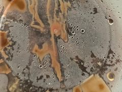 -真素诚(玉泉路总店)