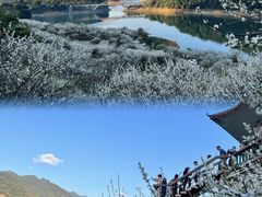 -广州市流溪河国家森林公园