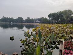 -后海公园