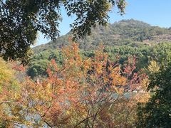 -白马涧龙池景区