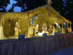 -龙环葡韵住宅式博物馆