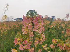 -中国天府农业博览园