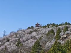 -白水寺森林公园