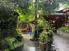 -青城甲(青城山店)