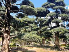 -华雅花园大酒店