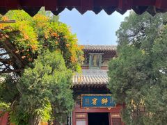 -洛阳白马寺