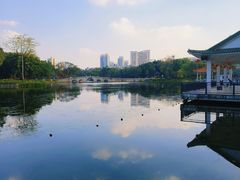 -荔湾湖公园