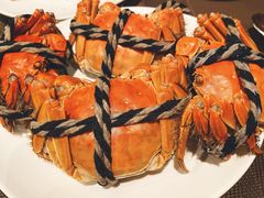 -上海龙之梦万丽酒店