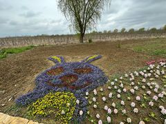 -泗洪洪泽湖湿地景区