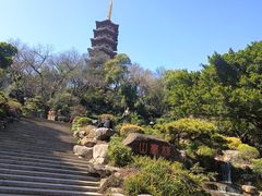 -江心屿景区