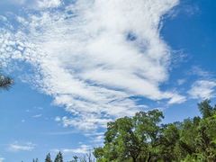 -延安杨家岭革命旧址