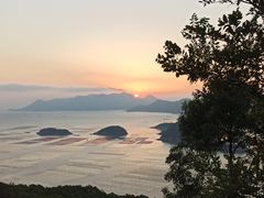 -花竹村
