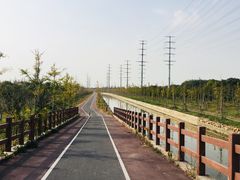 -上海长兴岛郊野公园