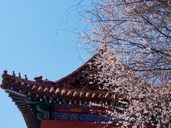 -天津盘山风景名胜区