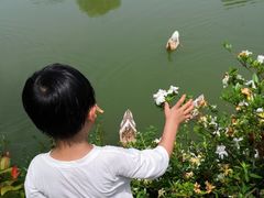 -张公山寨景区