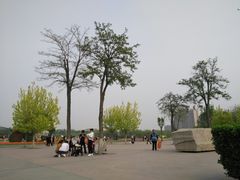 -廊坊文化艺术中心