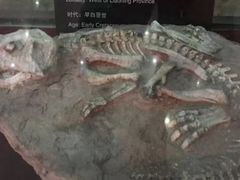 -中国西峡恐龙遗迹园