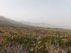 -北京鹫峰国家森林公园