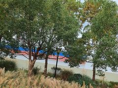 -上海山野camping·户外天幕烧烤·团建拓展营地