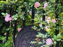-复旦大学光华楼