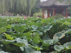 -莲池书院博物馆