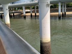 -演武大桥观景平台