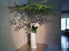 -穹六人间 people 6(岳阳路店)