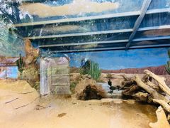 -广州长隆飞鸟乐园