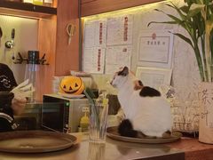 -猫员外精酿啤酒馆(聚豪园店)