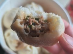 -桐香园小笼包(百井坊巷店)