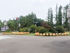 -上海长兴岛郊野公园