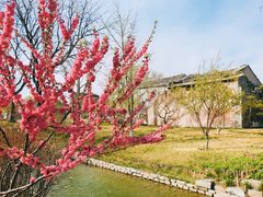 -春风习习