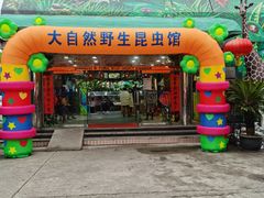 -上海大自然野生昆虫馆(东方明珠·爬宠昆虫探索中心)