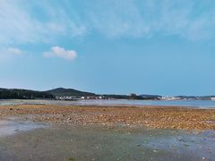 -广鹿岛景区