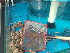 -北镇龙岗子生态园