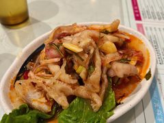 酸辣无骨凤爪-滕记星发餐室·新加坡菜(巨鹿路店)
