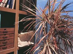 -3W咖啡(国家软件园店)