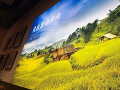 -良米山·云南野生菌过桥米线(上海首店)
