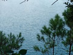 -广州市流溪河国家森林公园