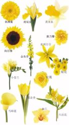 -红丝高端婚礼中心(旗舰店)